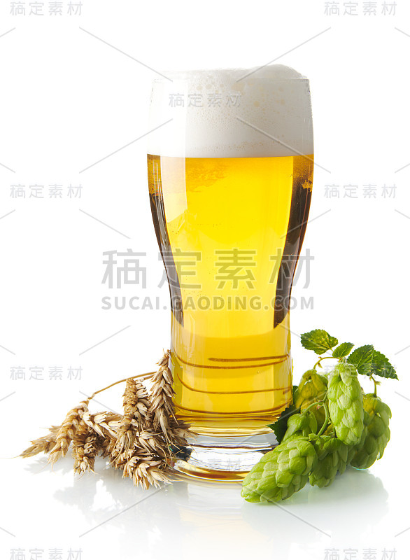 一杯啤酒，酒花球果，小麦隔离