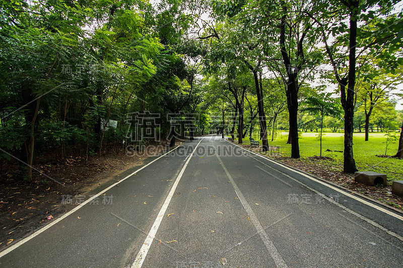 公园里的慢跑小路