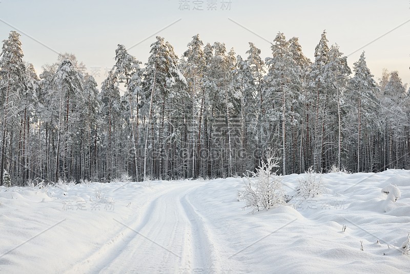 拉脱维亚的道路和白雪覆盖的树木