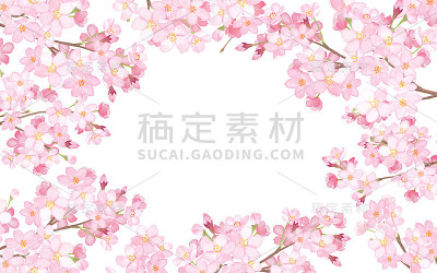 框架周围的樱花枝水彩插图