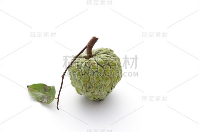 在白色背景上孤立的番荔枝
