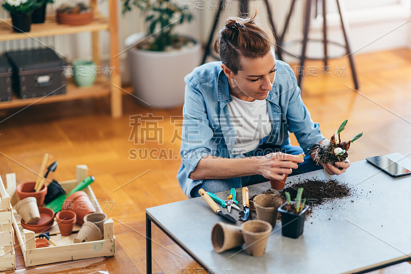 妇女在家里用园艺工具种苗。