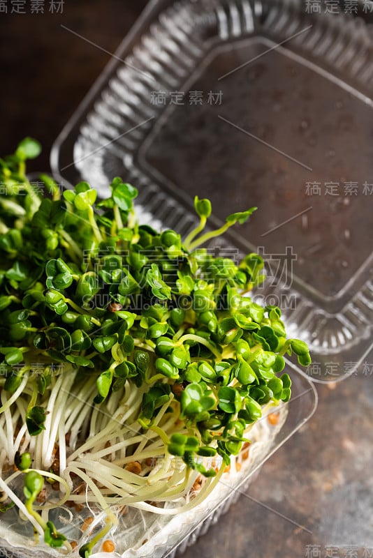 Microgreen。塑料容器内的萝卜芽