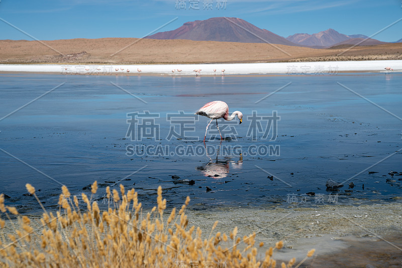 南美洲玻利维亚阿塔卡马地区美丽的风景