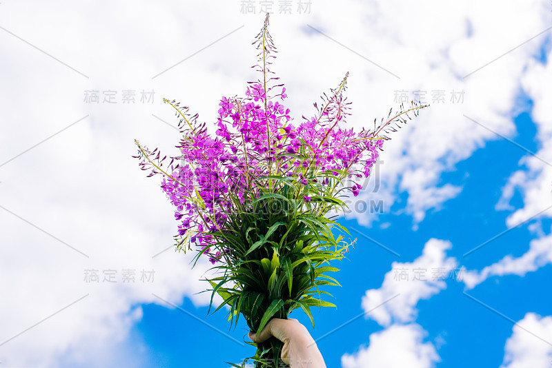 蓝天背景下，一个女孩手里捧着一束紫色的花。夏日鲜花作为礼物。