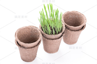 泥炭花盆和绿色的草
