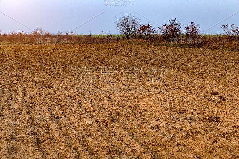 场后的收获。田野里的日落。美丽的乌克兰秋雾景观