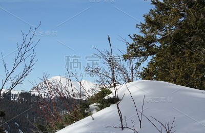 黄绿色的山