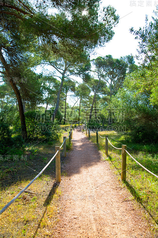 Menorca Cala Macarella地中海松林小径