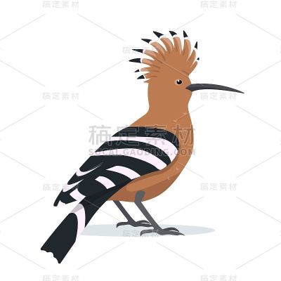 戴箍鸟图标为自然设计孤立在白色