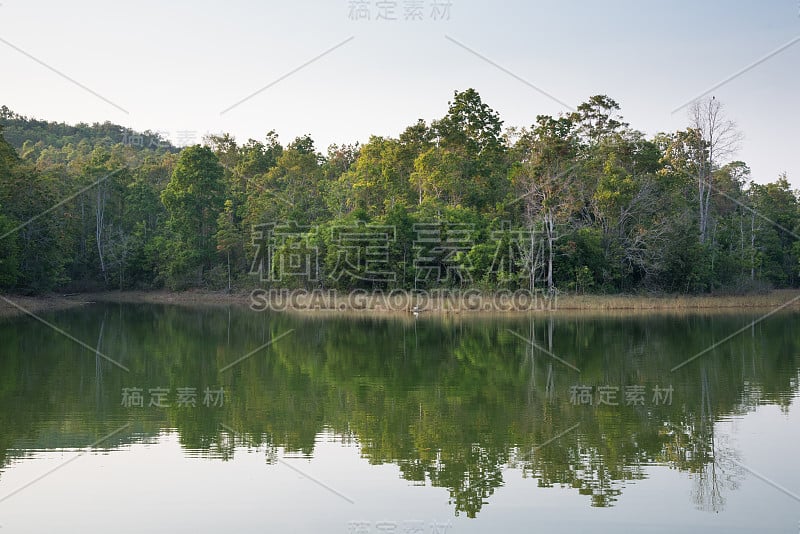 森林和湖