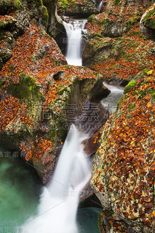 勒彭卡河峡谷，Soča山谷，秋天的颜色，Šunik水树林，Bovec，斯洛文尼亚