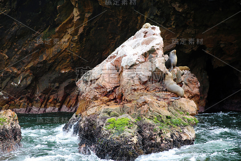 巴列斯特群岛是位于秘鲁南海岸皮斯科省帕拉卡斯镇附近的一组小岛。图片:尼古拉斯企盼