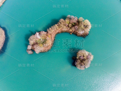 鹳鸟的栖息地