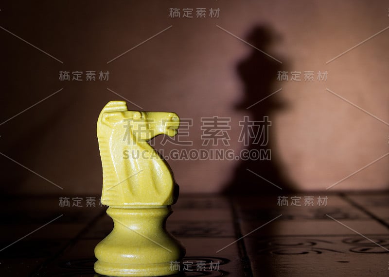 棋盘上的象棋