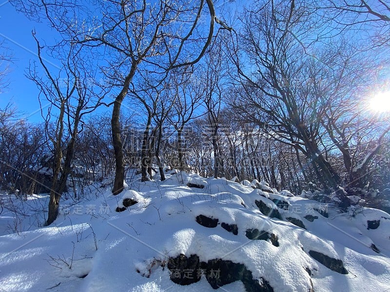 “鲜花广场”，意大利阿尔卑斯山，雪后