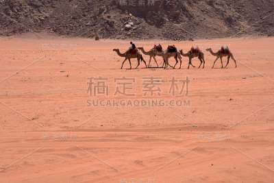 Wadi朗姆酒、约旦