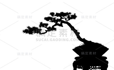 盆景cucoloris