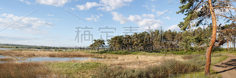 美丽的景观