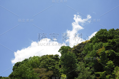 天空，云彩和森林