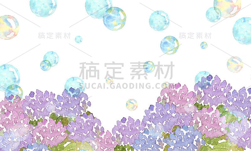 绣球花和泡沫