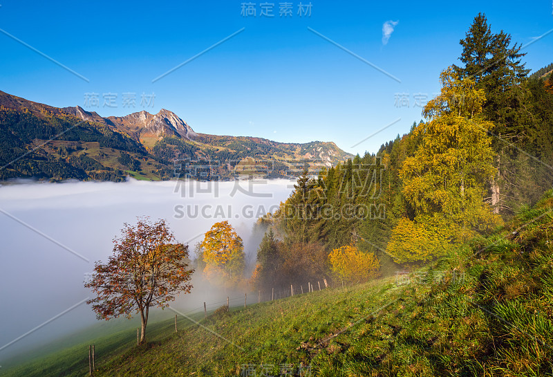 从多尔夫加斯泰因到帕尔辛湖徒步旅行的秋天早晨，宁静而雾蒙蒙的山景，奥地利萨尔茨堡。