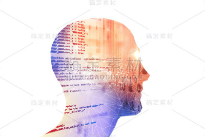 具有软件开发和计算机脚本编程技术背景