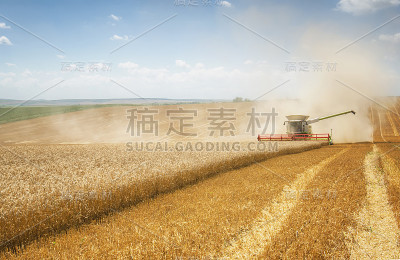 收获