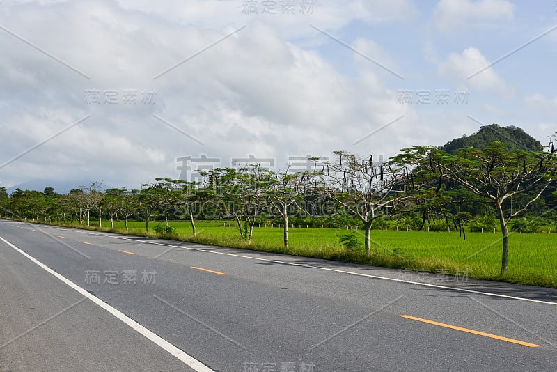 股票照片-道路通过森林