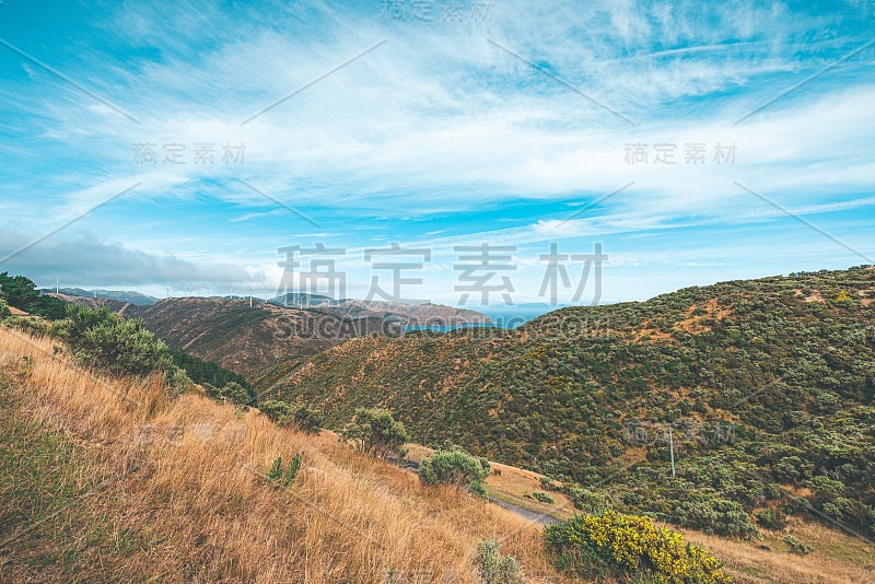 新西兰惠灵顿马卡拉海滩的风景