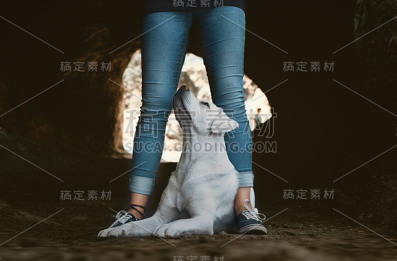 一只年轻的拉布拉多寻回犬小狗坐在山洞里一所年轻的女犬学校的两腿之间