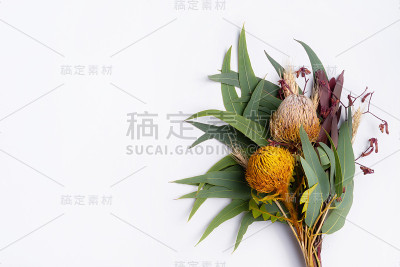 班克西亚和桉树的芳香。