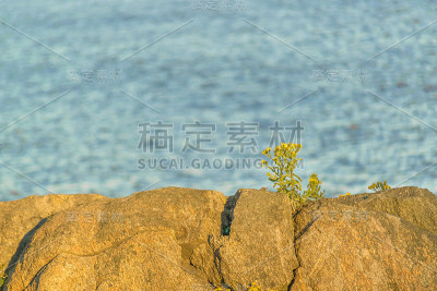 乌拉圭蒙得维的亚的岩石海岸景色