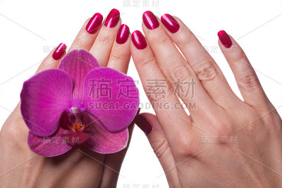 修剪整齐的指甲抚摸着深粉色的花瓣
