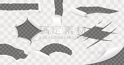 撕纸集合。矢量图