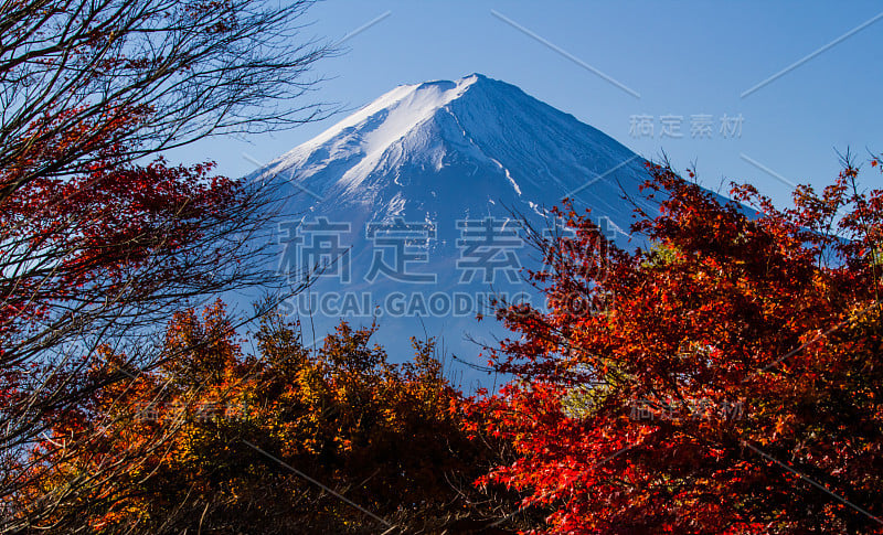 欣尝到富士山美丽秋天,