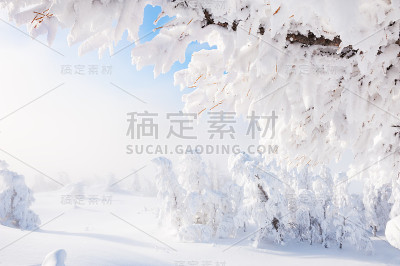 冬天的风景