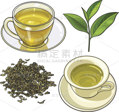 绿茶杯，鲜叶和干叶