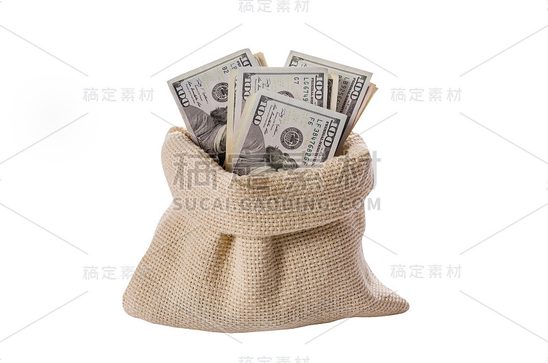 美元袋孤立在白色