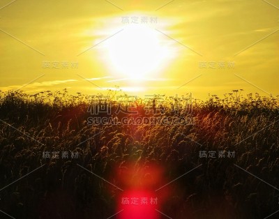 金色的光芒