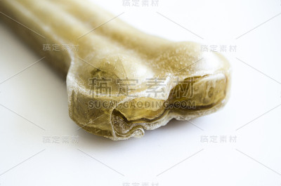 狗的骨头玩具