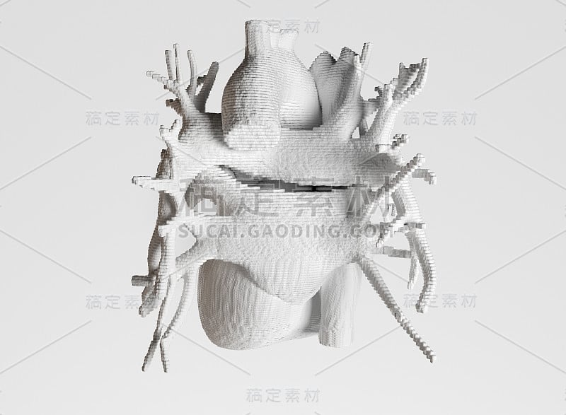 生物打印心脏，3D打印心脏，未来医学的概念