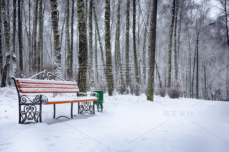 公园的长椅和树木被大雪覆盖