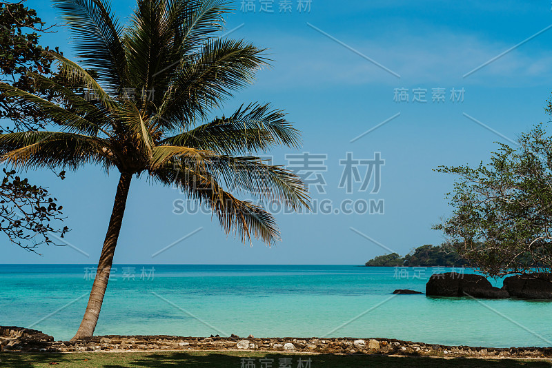 泰国热带岛屿海滩景观与棕榈树。湛蓝的天空映衬着清澈的水。墙纸。假期