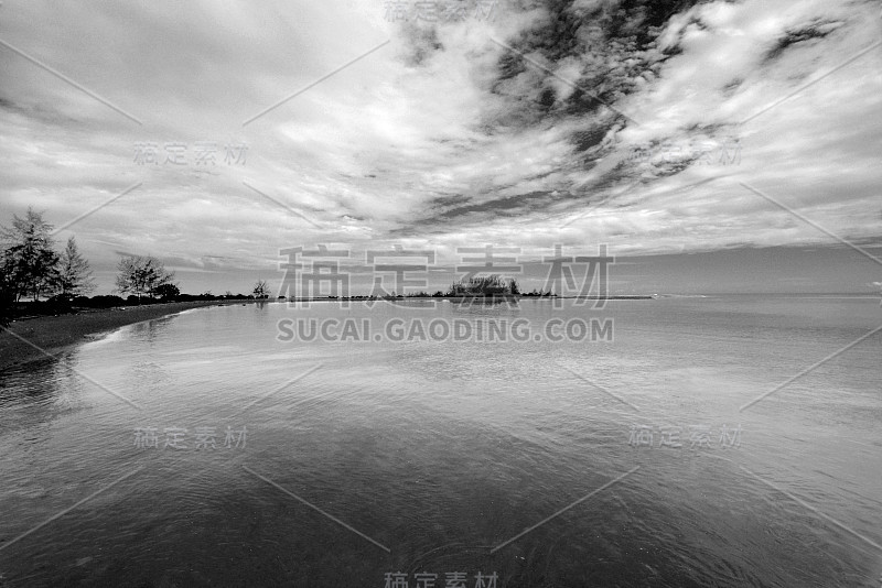 热带海滩，松树，美丽的海景