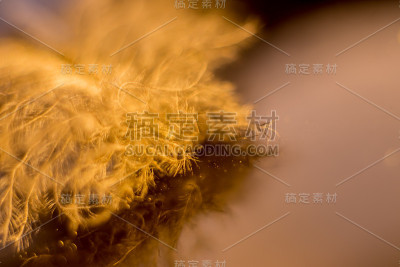 主题