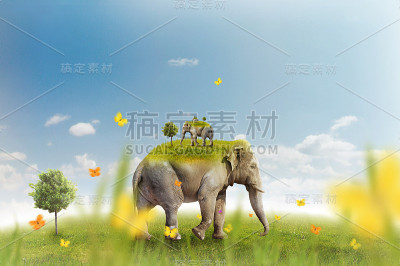 绿色草地上的大象