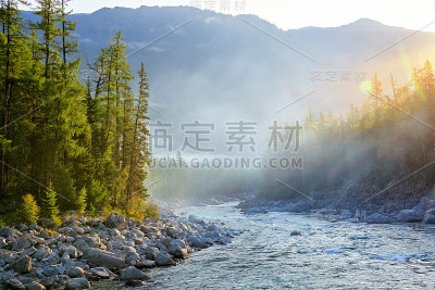 晴朗的早晨，西伯利亚黑暗的针叶林