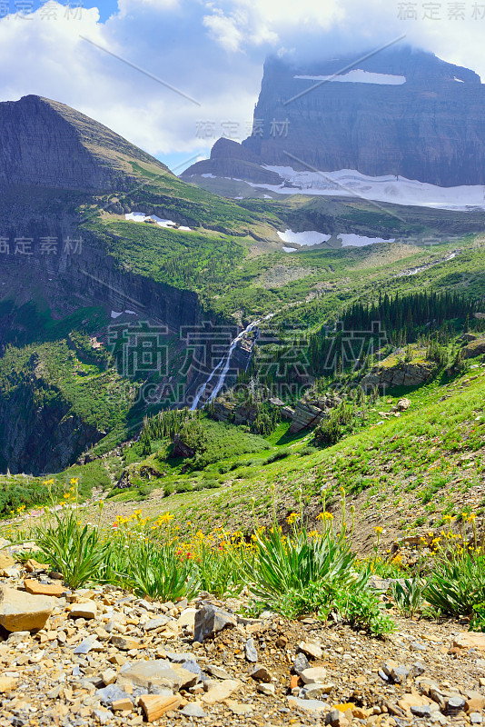 野花和高山景观