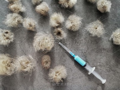 来自的冠状病毒株模型。新型冠状病毒疫苗。